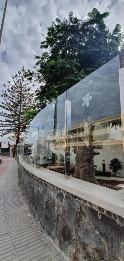 Apartamentos Casas Carmen - Adults Only Playa del Ingles  Dış mekan fotoğraf